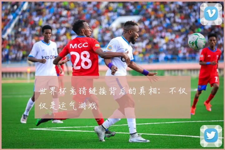 世界杯竞猜链接背后的真相:不仅仅是运气游戏