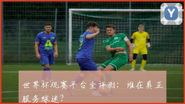 世界杯观赛平台全评测：谁在真正服务球迷？